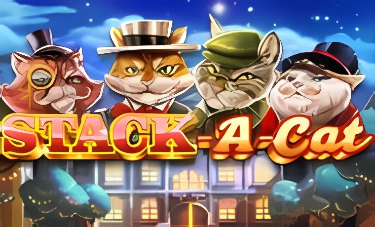 Stack-A-Cat