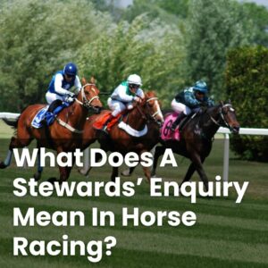 What Does A Stewards’ Enquiry Mean In Horse Racing?