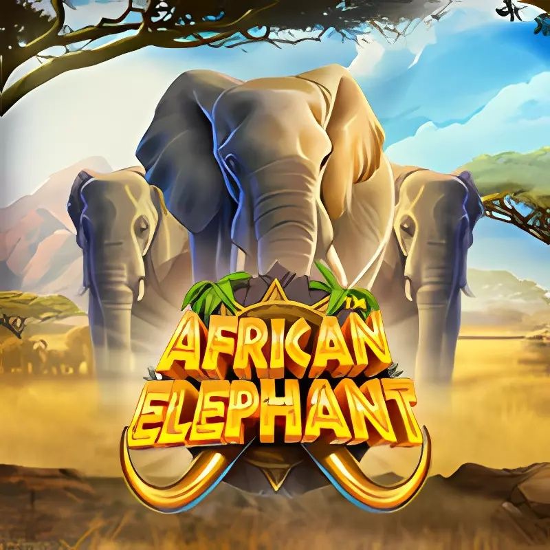 African Elephant Slot